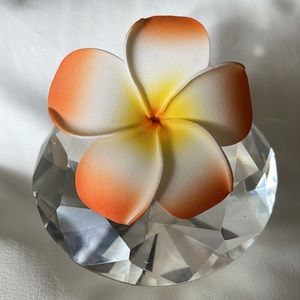 Plumeria Flower Clip YELLOW CREAM ORANGE TRICOLOR